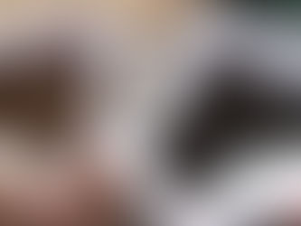 Truffle hunting makes UNESCO list