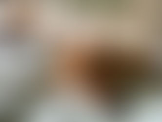 A small ginger dog, lying peacefully on a bed.