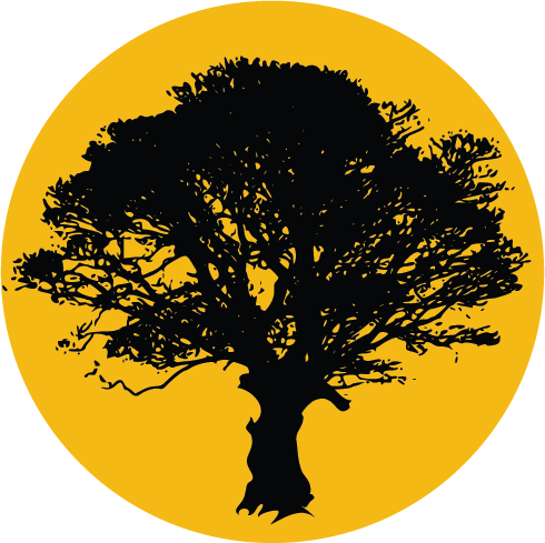 Savana Producoes e Eventos