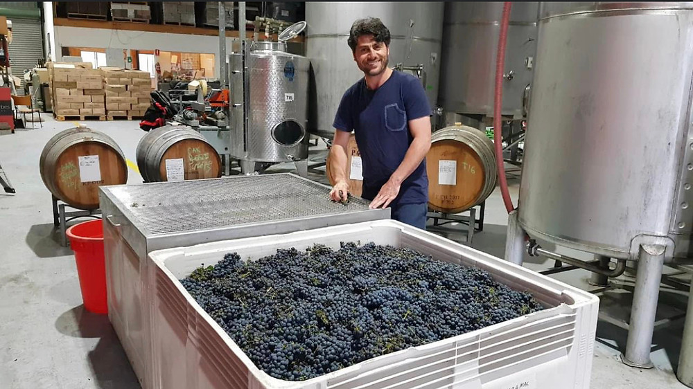 Man making wine