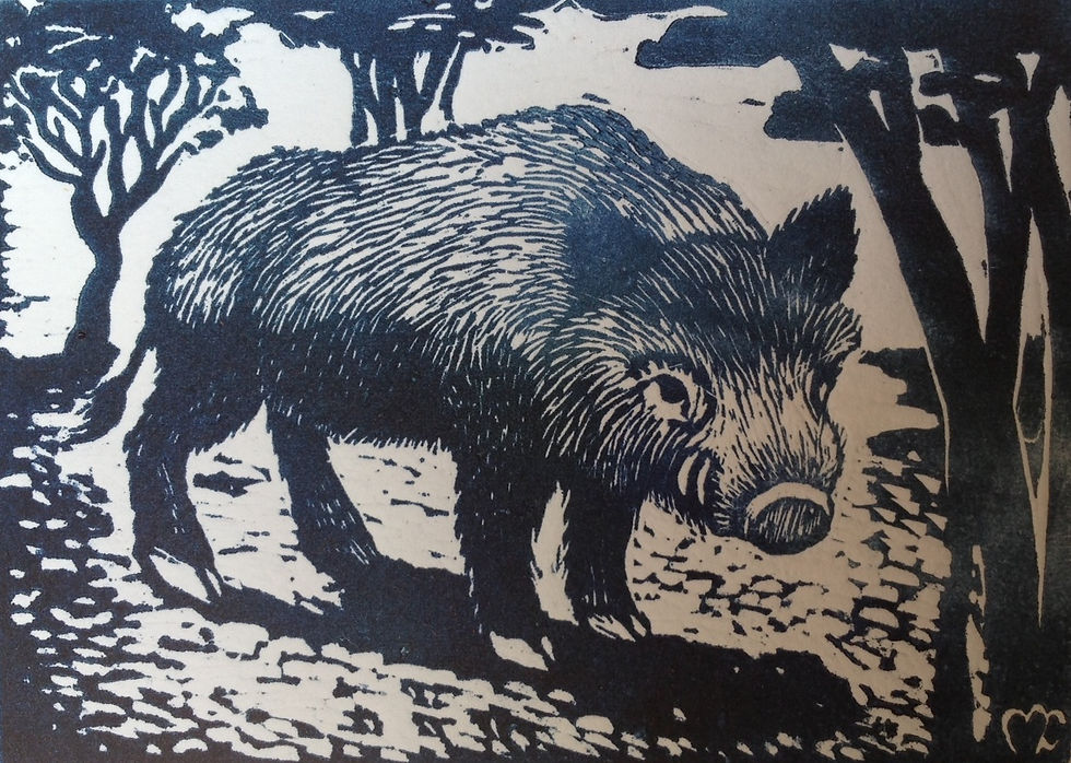 Porc Senglar.JPG
