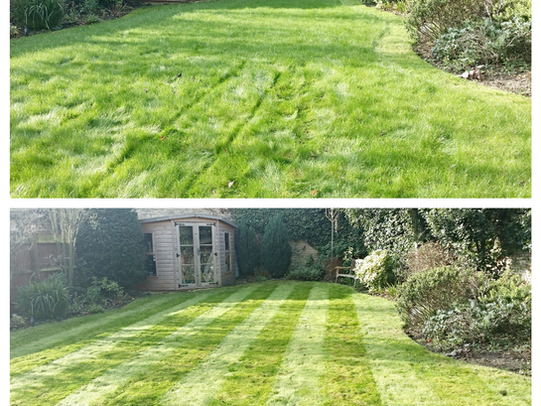 Garden Maintenance: February 2016 (4)