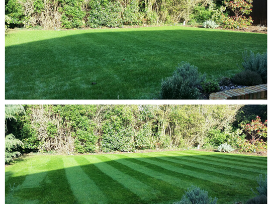 Garden Maintenance: February 2016 (1)