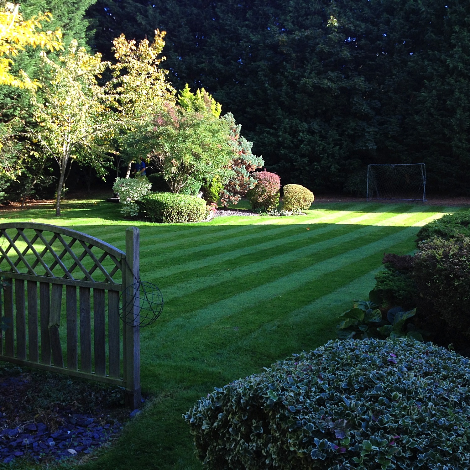 Loftus Landscapes Limited, Milton Keynes Garden & Grounds Maintenance