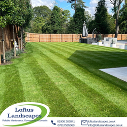 Background_template_25