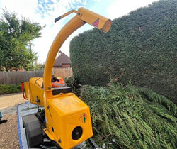 17880456692714412_edited