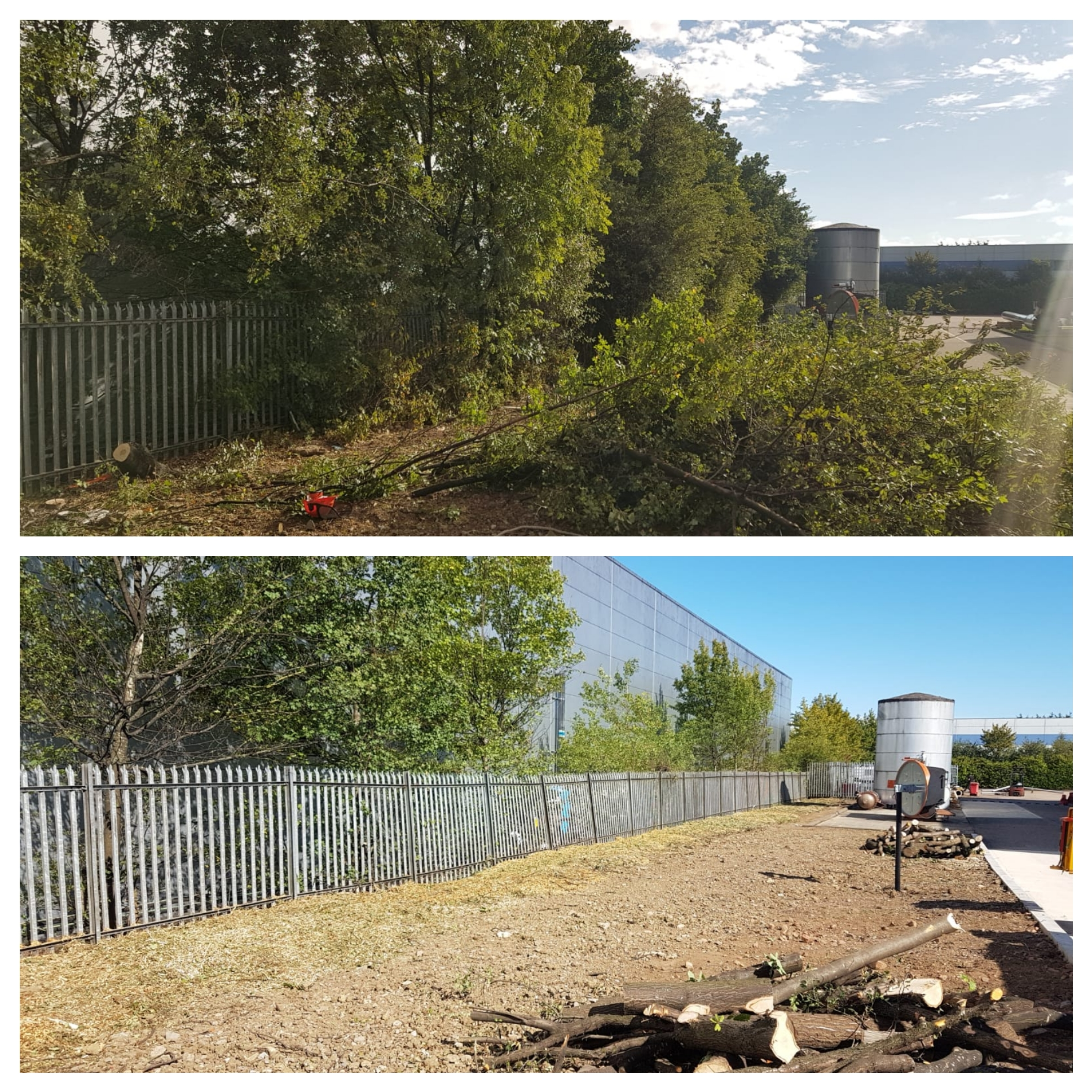 Loftus Landscapes Limited, Milton Keynes Garden & Grounds Maintenance