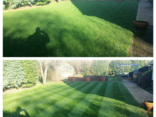 Garden Maintenance: February 2016 (3)