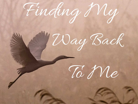 Finding My Way Back to Me: My journey to free myself from an abusive marriage after 17 years, by Amanda J Scott