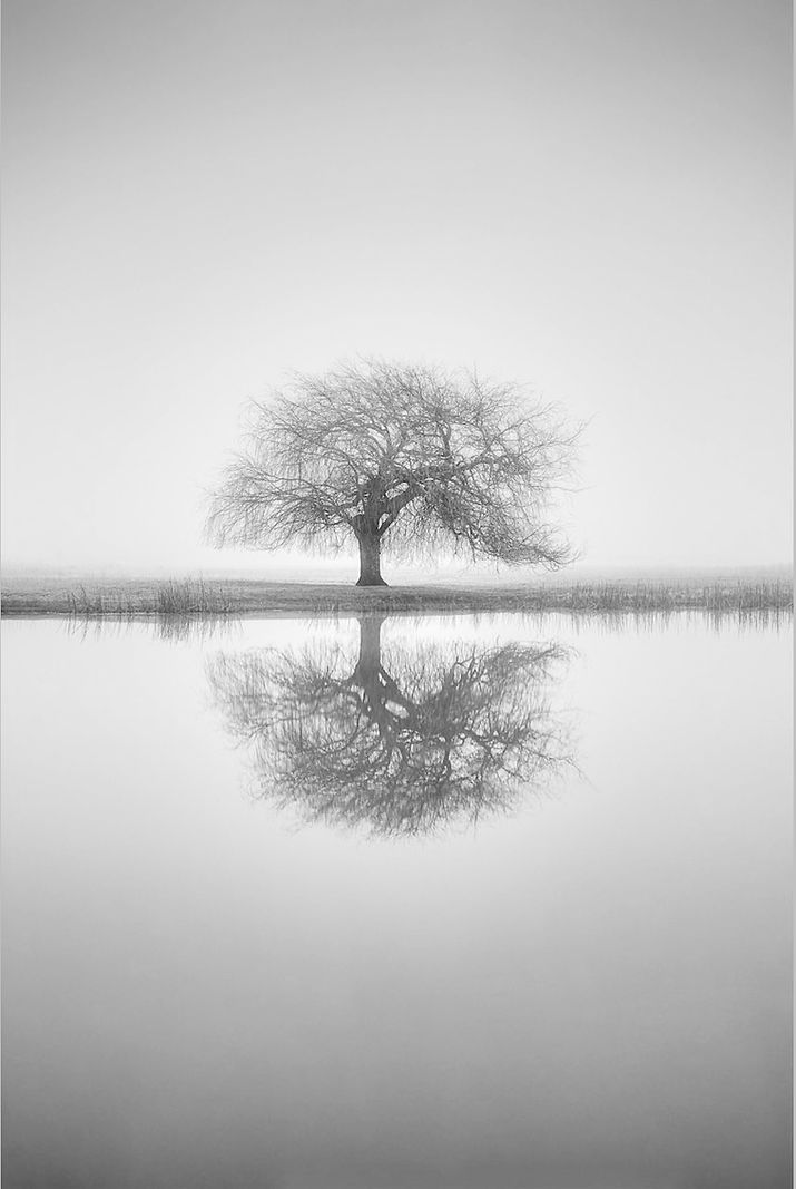 THE-GREY-BETWEEN-background_edited.jpg