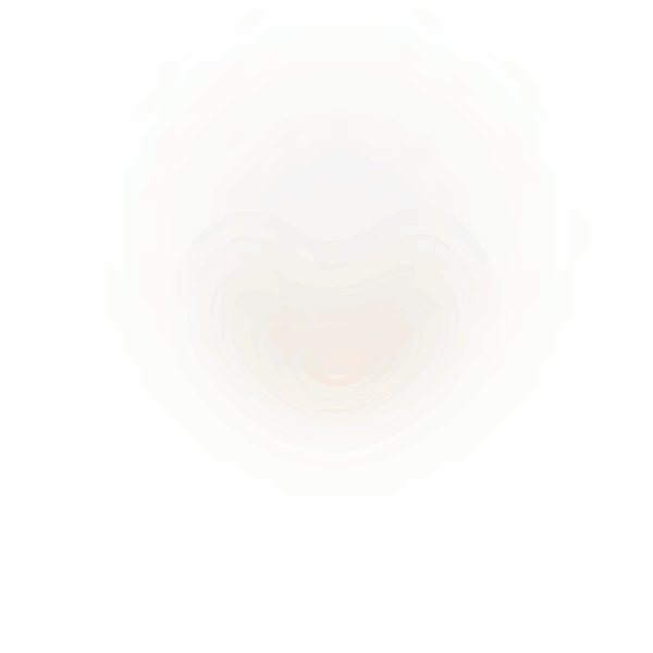 N3F Animation.gif