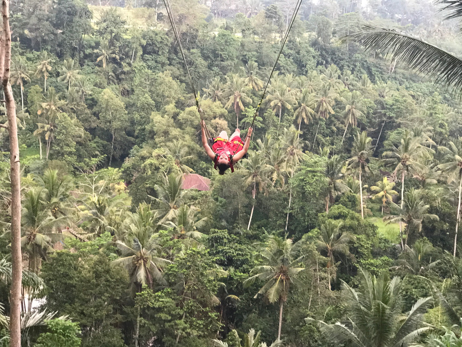 Ubud Jungle Swing