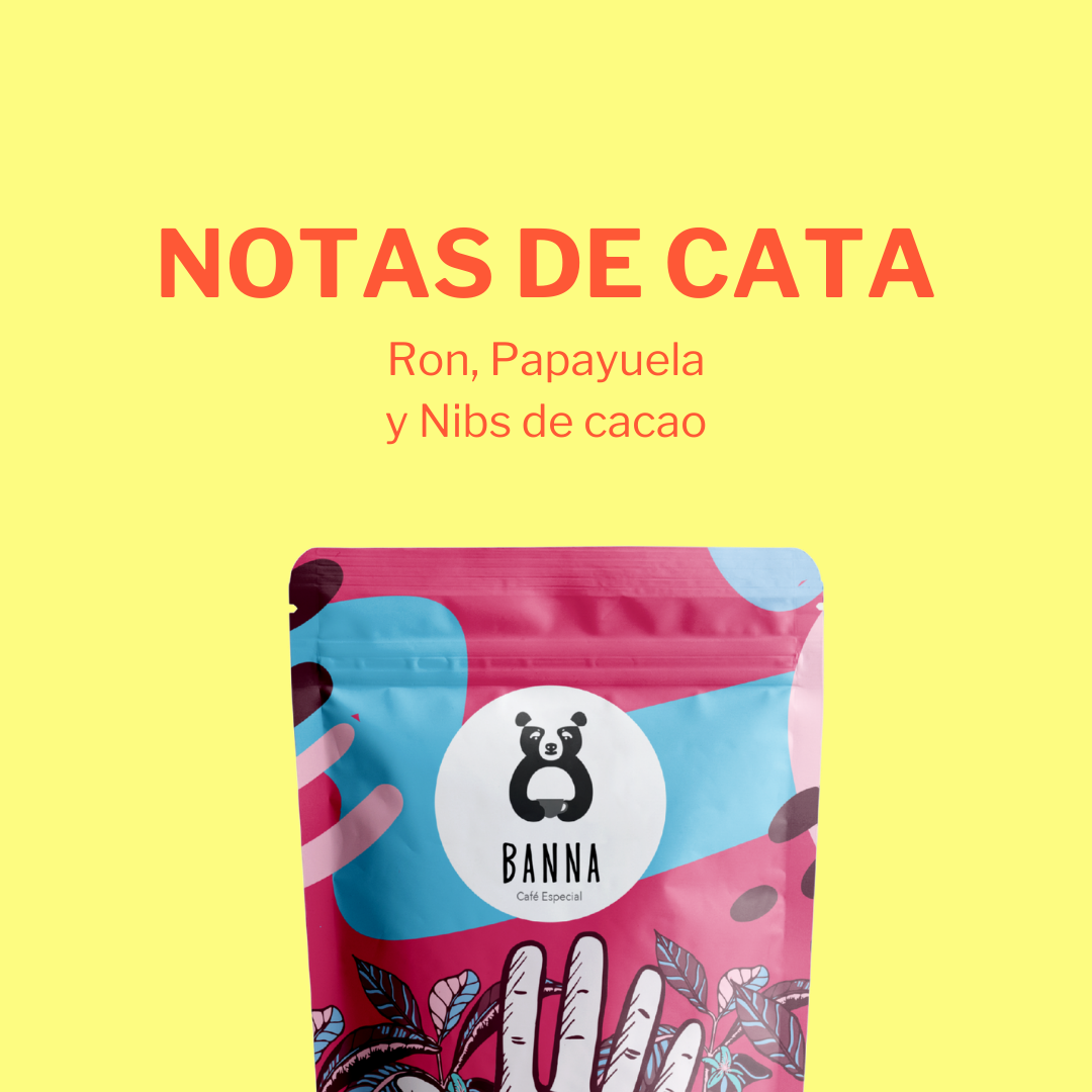 Café de Héctor Rivas
