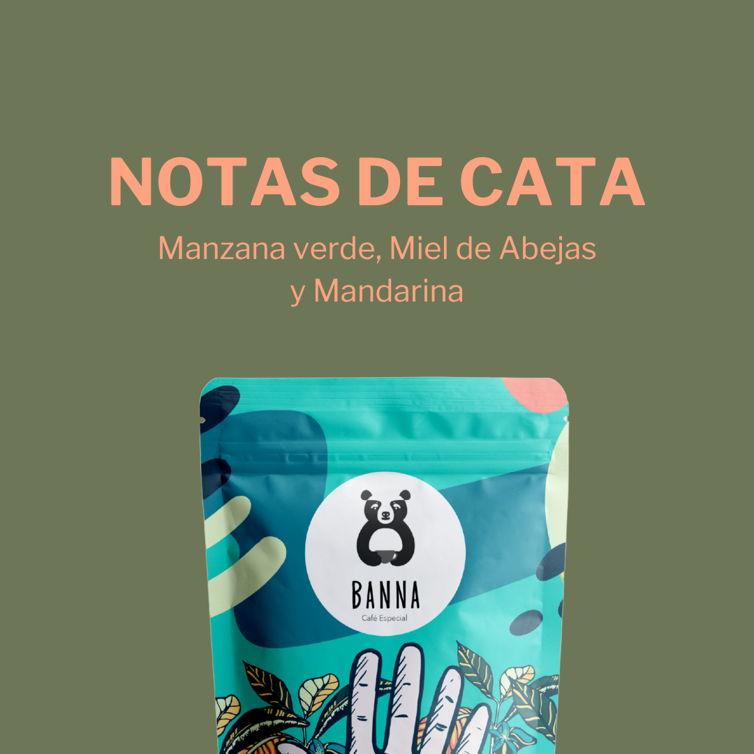 Café de Alirio Rodríguez