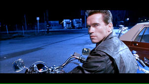 What Can Arnold Teach Us About Longevity?