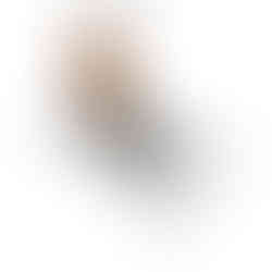 Small dog eating on TheFamilyFriend Pet Feeding Mat