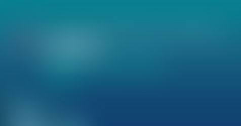ANZFFR Annual Report 2025- Released today
