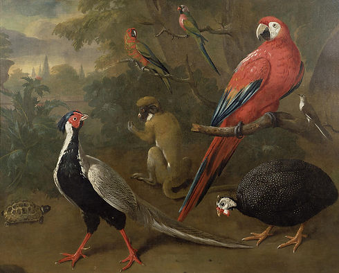 Charles_Collins_-_Pheasant,_Macaw-Monkey,_Parrots_and_Tortoise - EF VIDOCQ Intelligence