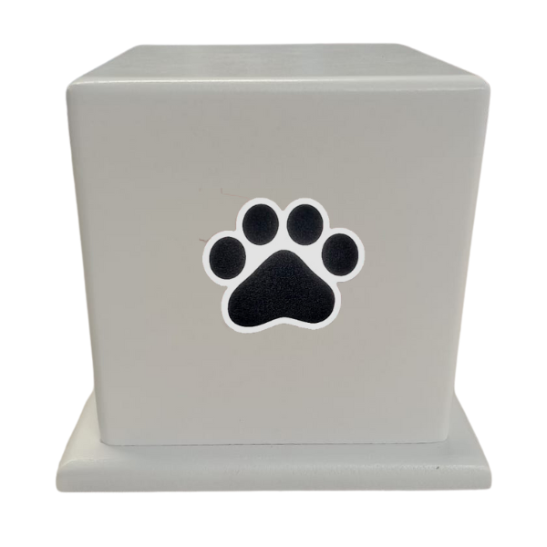 Thumbnail: Basic Urn