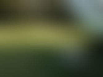 お知らせです。