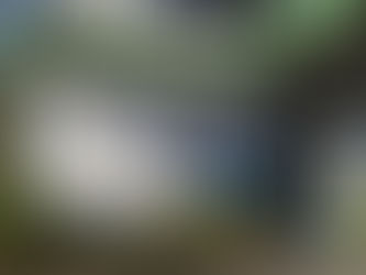 臨時休業いたします。