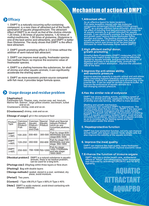 DMPT profile (English version)_02.png