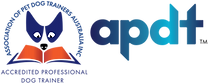 APDT LOGO 