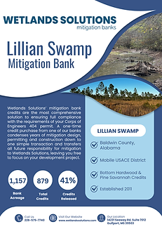 WS Lillian Swamp Fact Sheet .png