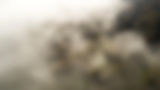 Hompage_background_image.jpg