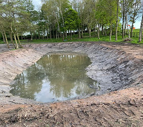 jab agric pond restoration.jpeg