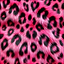 ALLIE CAT FUR.png