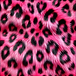 ALLIE CAT FUR.png