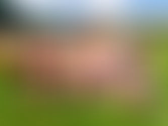 Parádní týmové vystoupení děčínských atletů na domácí půdě - druhé a třetí místo ve 2. kole