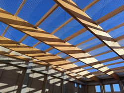 Immagine WhatsApp 2025-03-30 ore 15.48.24_5231e81d