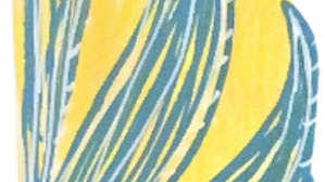 The Evolving Landscape of Alfonso Cuarón's Mexico: Y Tu Mamá También and Roma