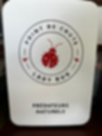 ladybug