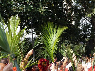 A importância do Domingo de Ramos