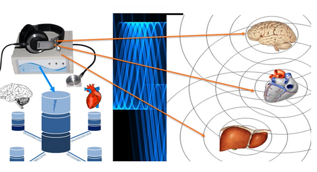 Bioresonance.app..png