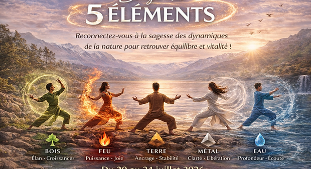 Stage 5 éléments_.png