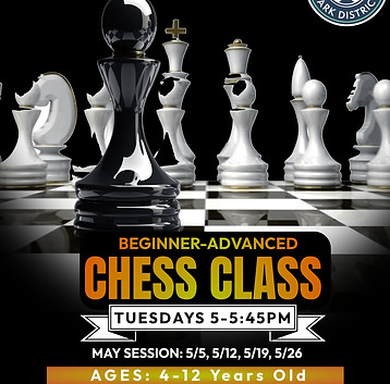 international chess cup.jpg