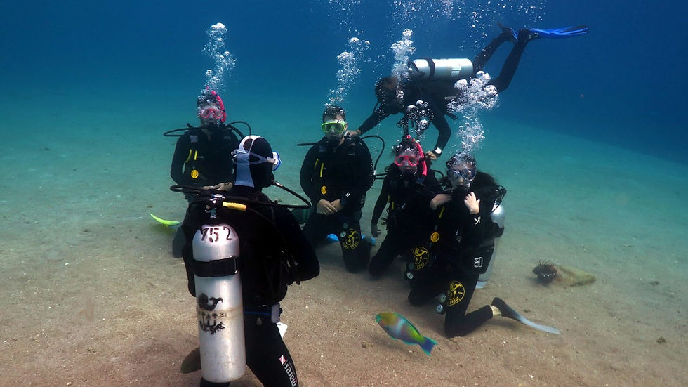Thumbnail: PADI Open Water Course (English)