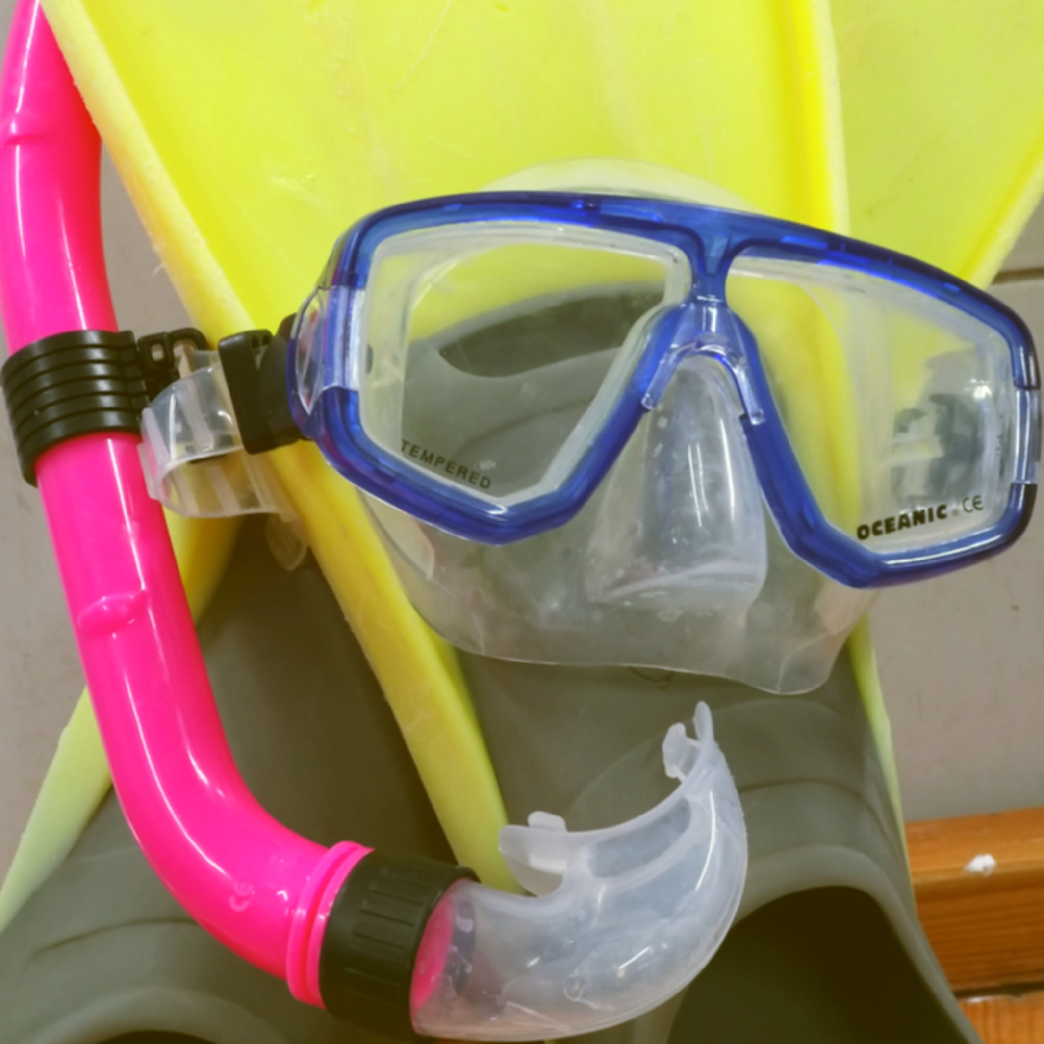 Mask, Snorkel and Fins Rental