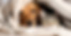 hero_bg_1_3.jpg