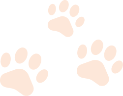 K9Inn pet paw shape