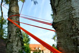 Tree Bondage, installation in situ, exposition Lumière Fossile, Beersel, 2021.