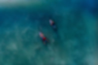Surfers
