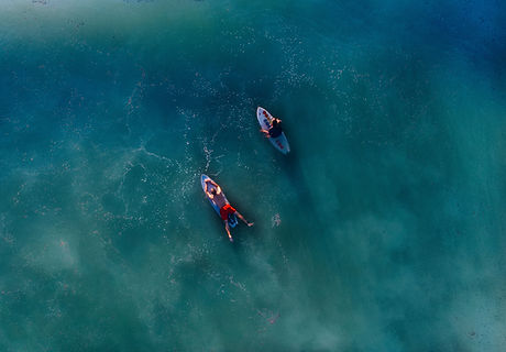 Surfers