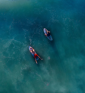 Surfers