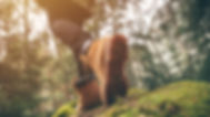 Facebook Event Covers (1).jpg