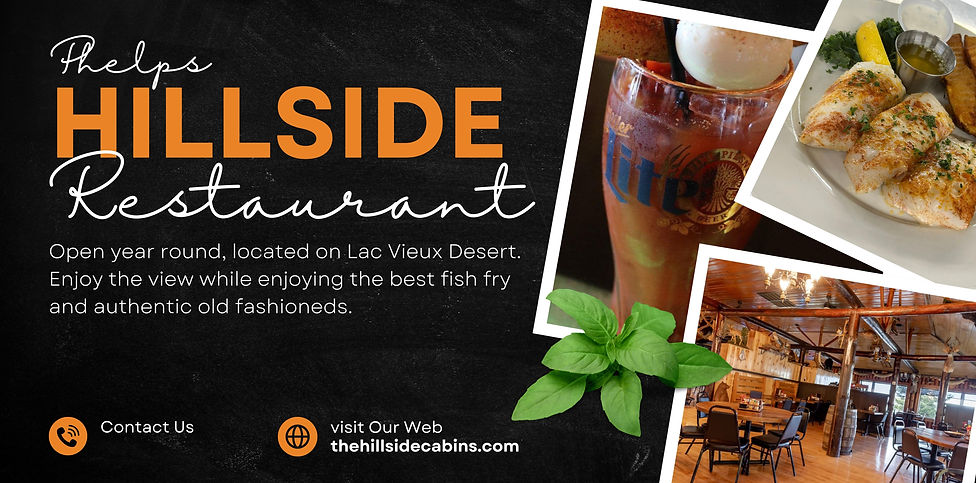 Website Restaurant ad-2.jpg